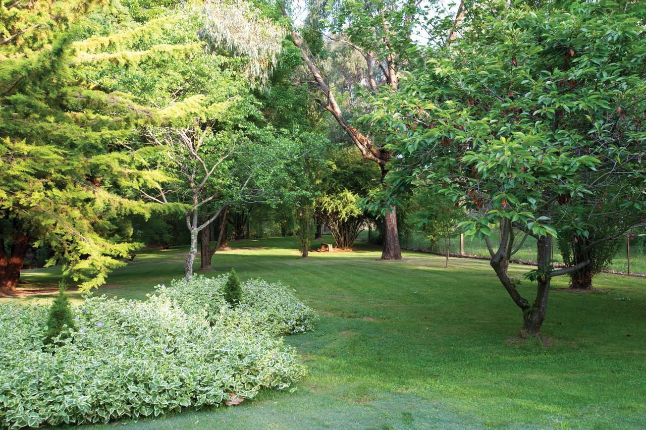 Clifton Gardens Bed & Breakfast - 奥兰治 外观 照片